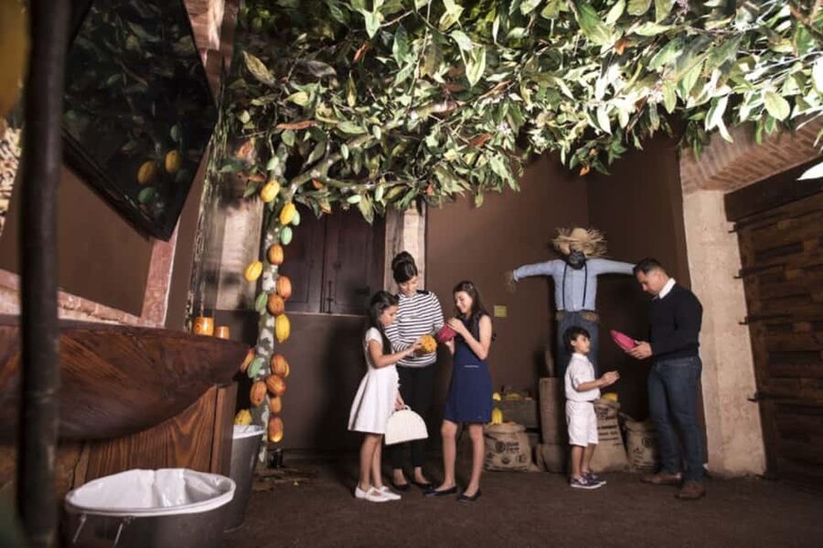 Santo Domingo: Chocolate Tour + Optional Workshops - Choosing the cacao butter soap workshop