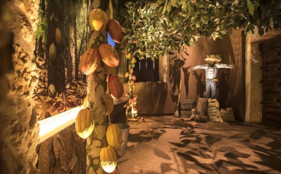 Santo Domingo: Chocolate Tour + Optional Workshops - How much time should you allow?