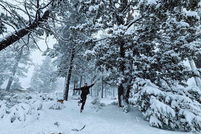 Snowshoe Tour Big Bear Lake with Hot Chocolate - A flexible winter walk through Big Bear Valley