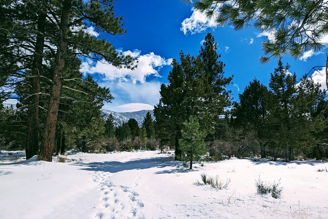 Snowshoe Tour Big Bear Lake with Hot Chocolate - The Big Bear Lake view is the payoff