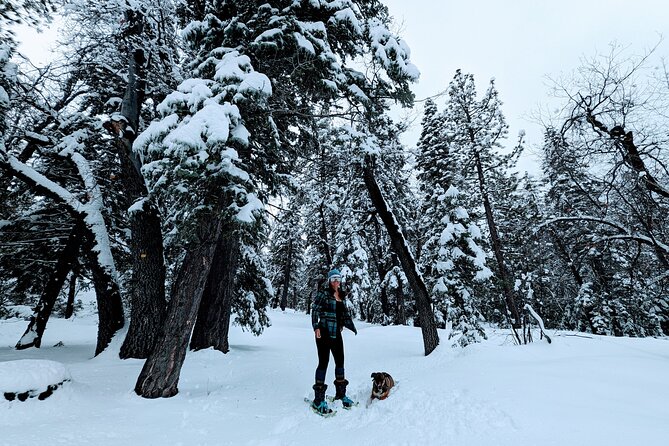Snowshoe Tour Big Bear Lake with Hot Chocolate - What the $55 price really covers