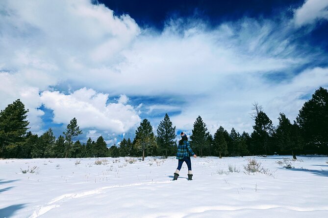 Snowshoe Tour Big Bear Lake with Hot Chocolate - Who will enjoy this most