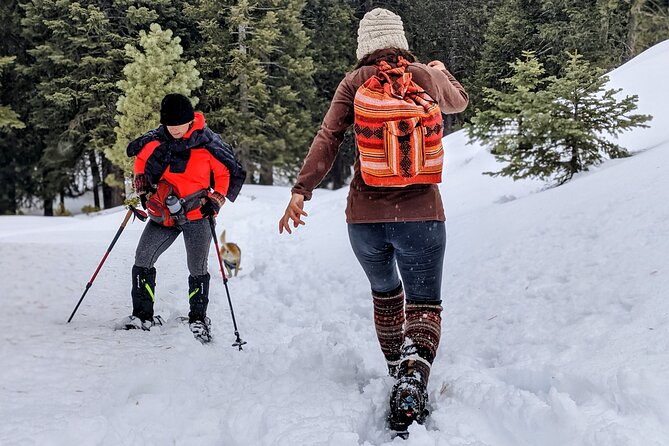 Snowshoe Tour Big Bear Lake with Hot Chocolate - Timing, meeting point, and planning details