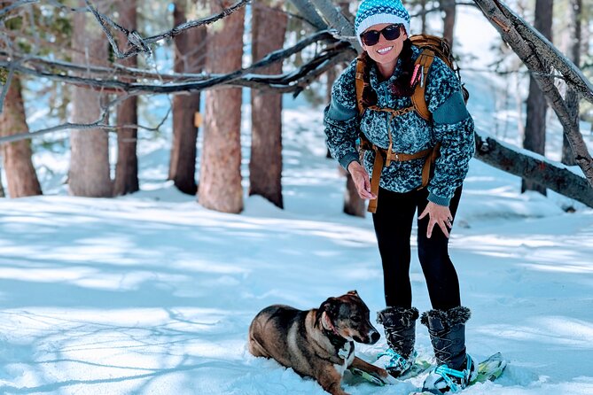 Snowshoe Tour Big Bear Lake with Hot Chocolate - Snow or no snow, you still get a forest outing