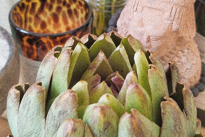 Soul Revitalization: Cacao Ceremony & Sound Healing in Mérida - Is $600 per person good value?