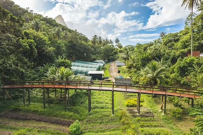 St Lucia Airport Transfer to Hotel Chocolat - Why this airport ride matters in St Lucia