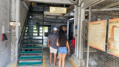 St. Lucia: Rum Distillery and Chocolate Making Experience