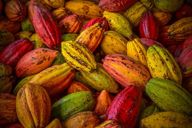 Swiss Chocolate Tasting Experience | Basel - Group size and comfort