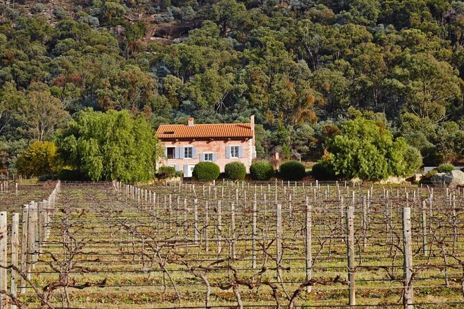 Sydney to Hunter Valley Wine Tour | Gin, Lunch, Chocolatier Visit - Tinonee Vineyard Estate and the 1813 cellar door