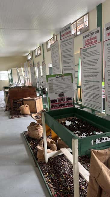 Taste & Explore Grenada: Rum, Chocolate & Spice Journey - Who will get the most from this tour