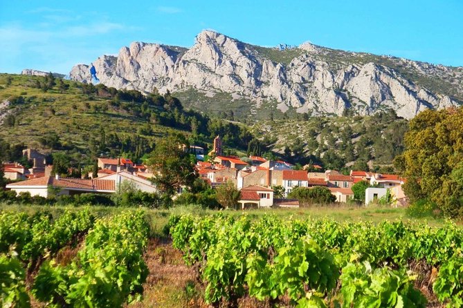 tasting workshop of 6 to 8 wines with charcuterie chocolate cheese - A wine lesson in Vingrau, not a generic Perpignan stop