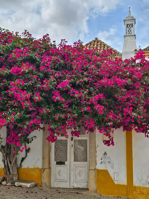 Tavira City & Chocolate - Should you book it?