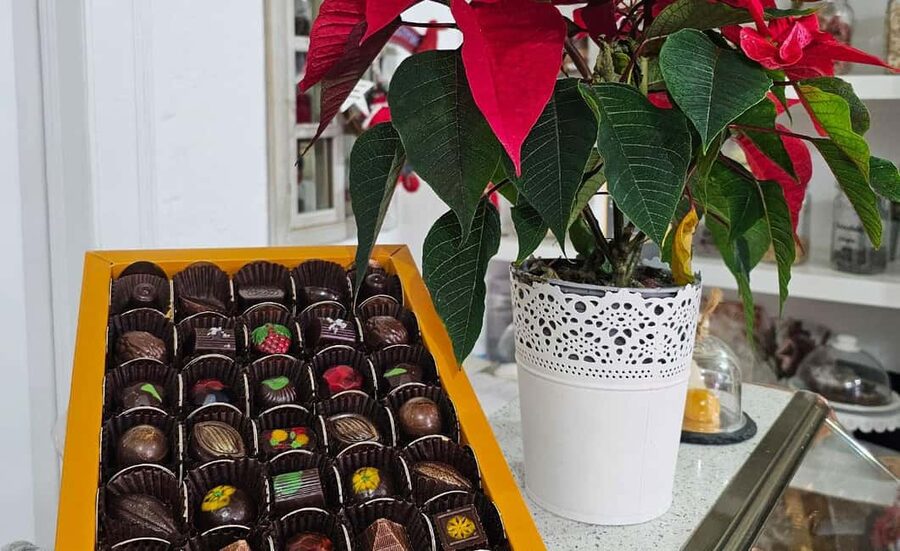 Tavira City & Chocolate - São Sebastião and the first group of churches