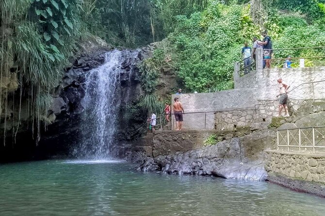 Taxi & Tours in Grenada , Chocolate factory, & more. - Grand Etang Lake and Mona monkey