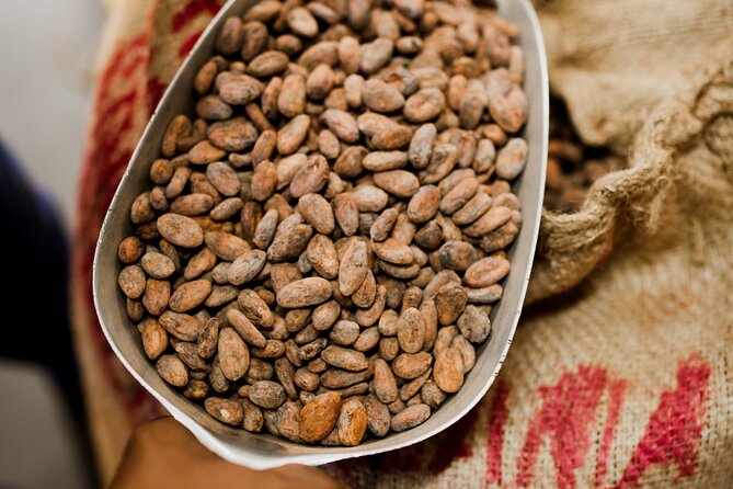 The Art of Chocolate Making Bean-To-Bar Experience in Cape Town - A private activity with a very short clock