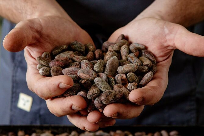 The Turin Chocolate Factory Guided Tour & Tasting - Why this small laboratory visit matters
