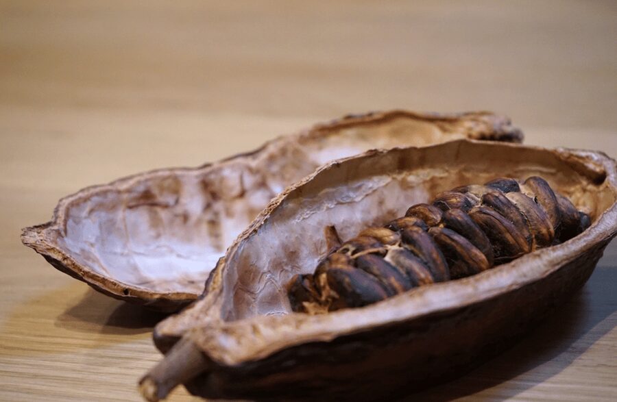 The Turin Chocolate Tasting Experience - Who should book this tasting?