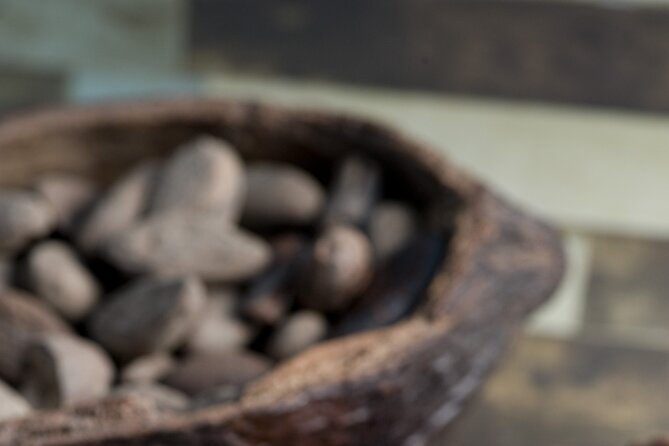 Tour to Uxmal , Cenote Sambula and Chocolate Museum Story - The 7:30 am start and 11-hour schedule
