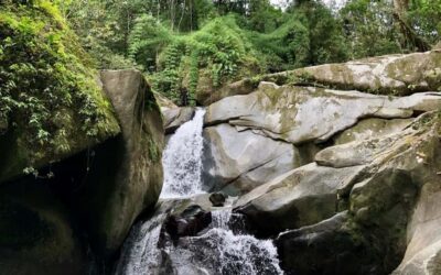 Trekking History and Indigenous Heritage in Minca + Cacao & Coffee + Waterfall