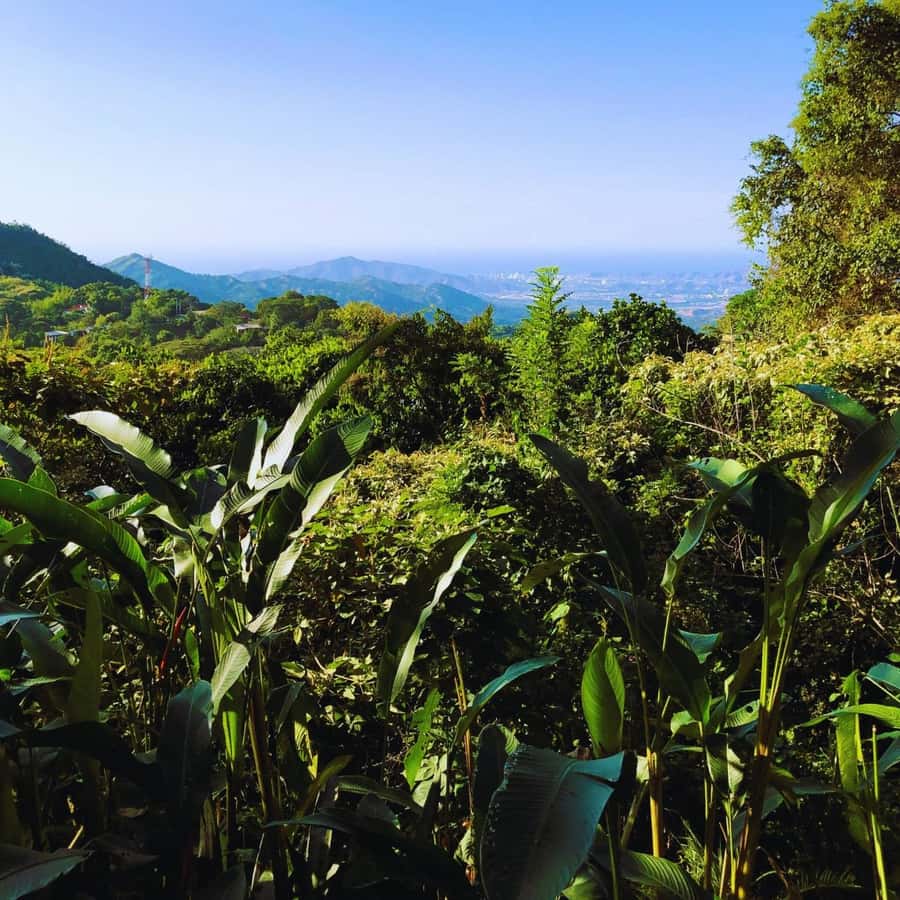 Trekking History and Indigenous Heritage in Minca + Cacao & Coffee + Waterfall - Who should book this experience?