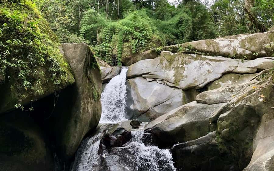 Trekking History and Indigenous Heritage in Minca + Cacao & Coffee + Waterfall - Starting at Minca’s Central Park