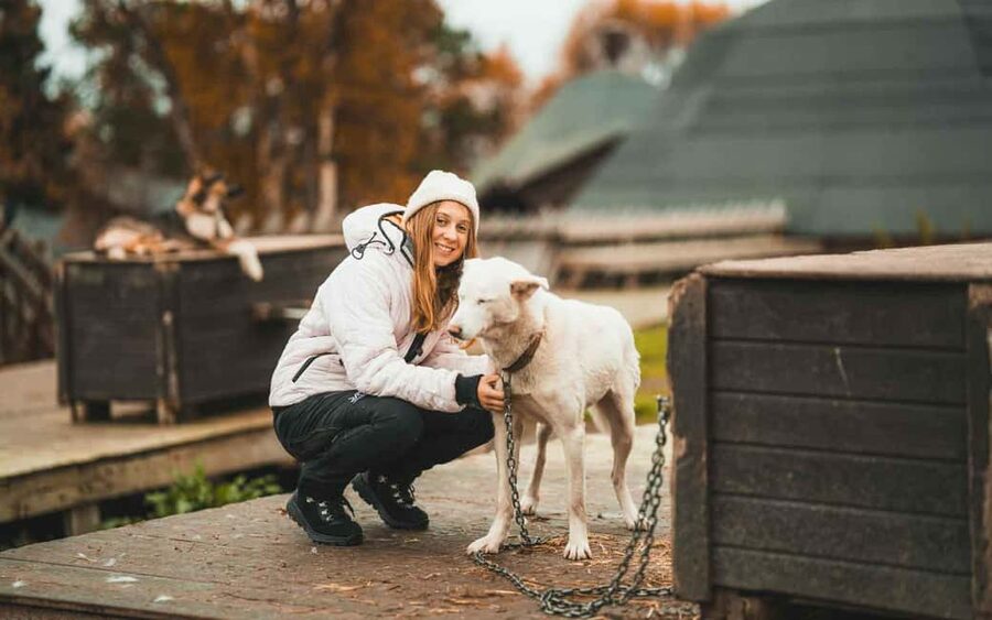 Tromsø: Husky Meet and Greet with Homemade Chocolate Cake - Meeting the dogs at Tromsø Villmarkssenter