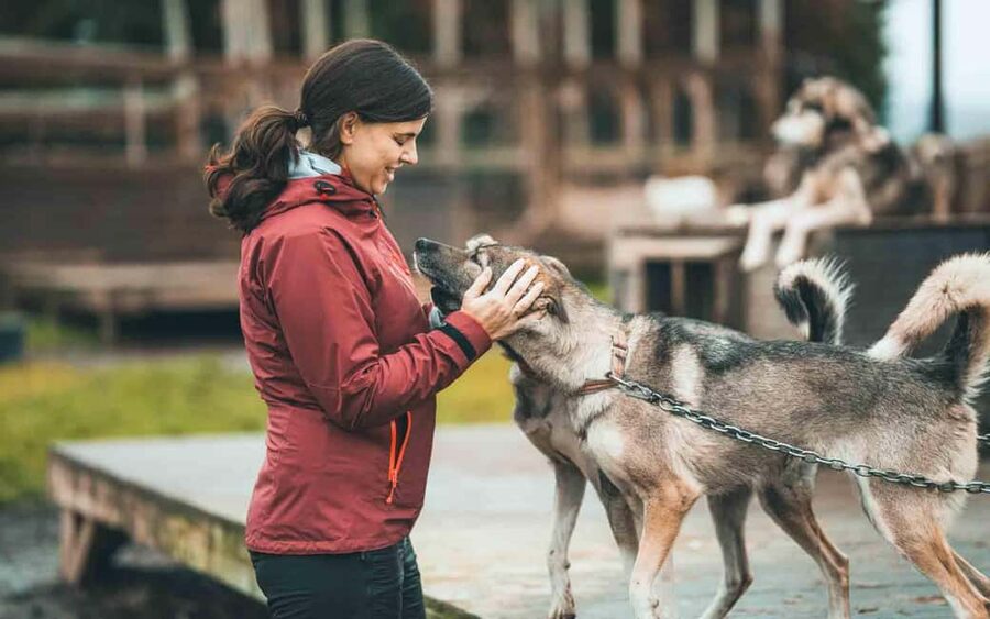 Tromsø: Husky Meet and Greet with Homemade Chocolate Cake - What the $103 price includes