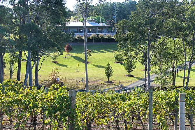 Tulloch Wines - Wine Tasting paired with Local Handmade Chocolates - A private tasting built around contrast