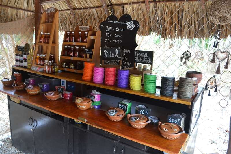 Tulum: Chocolate & Honey Sanctuary Experience with Lunch - Should you book the Honey and Chocolate Sanctuary Experience?