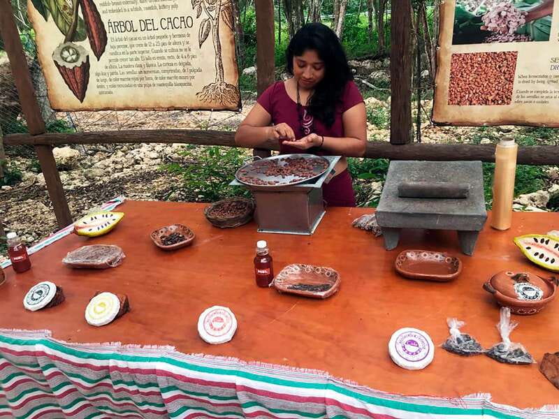 Tulum: Chocolate & Honey Sanctuary Experience with Lunch - From cacao bean to your own chocolate