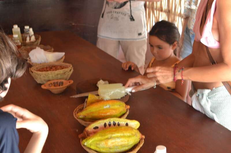 Tulum: Chocolate & Honey Sanctuary Experience with Lunch - Lunch where chocolate becomes a savory ingredient