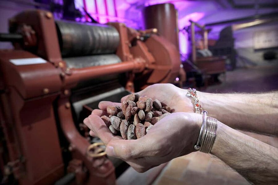 Turin: Visit to the Chocolate and Gianduja Museum, Choco-Story Torino - The audio guide and language choices