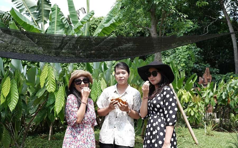 Ubud: Chocolate Workshop, Class & Tasting - How much value do you get for $24?