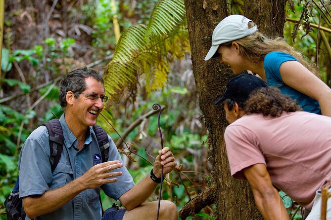 Volcano, Chocolate and Waterfalls of the Big Island - Is the $308.90 price fair?