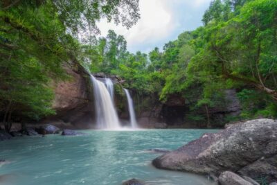 Waterfall, Chocolate Tour, Rainforest, Royal Historical
