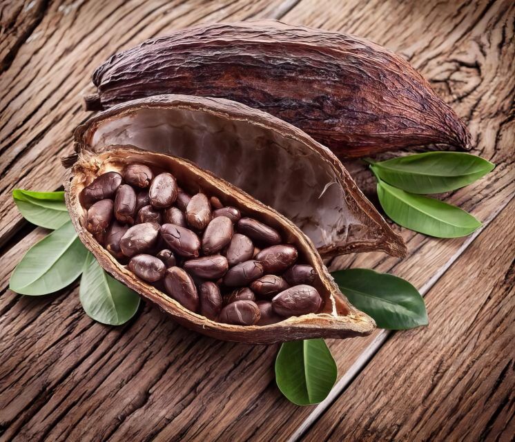 Waterfall, Chocolate Tour, Rainforest, Royal Historical - From cacao tree to finished chocolate