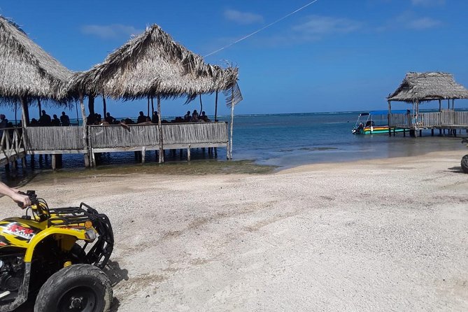 Wildlife adventure, Chocolate factory, city Tour & Beach Break - The wildlife encounter and close animal contact