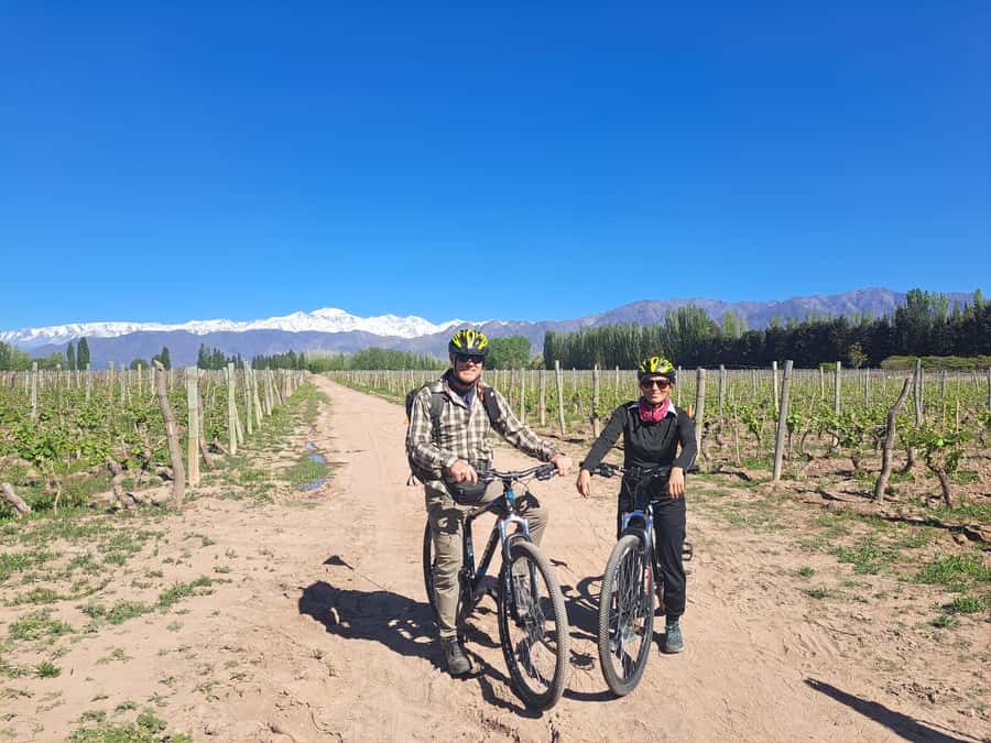 Wine and Chocolate Bike Tour: ride, taste, lunch, vineyards. - Key points to know before booking