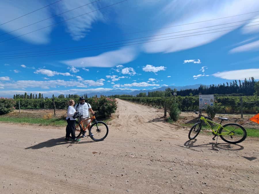 Wine and Chocolate Bike Tour: ride, taste, lunch, vineyards. - Lamadrid turns lunch into the main event