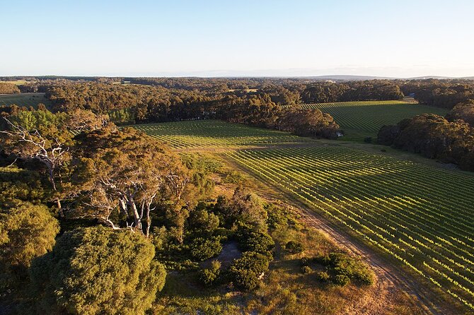 Wine and Chocolate Bonbon Tasting in Margaret River - Key points to know before booking