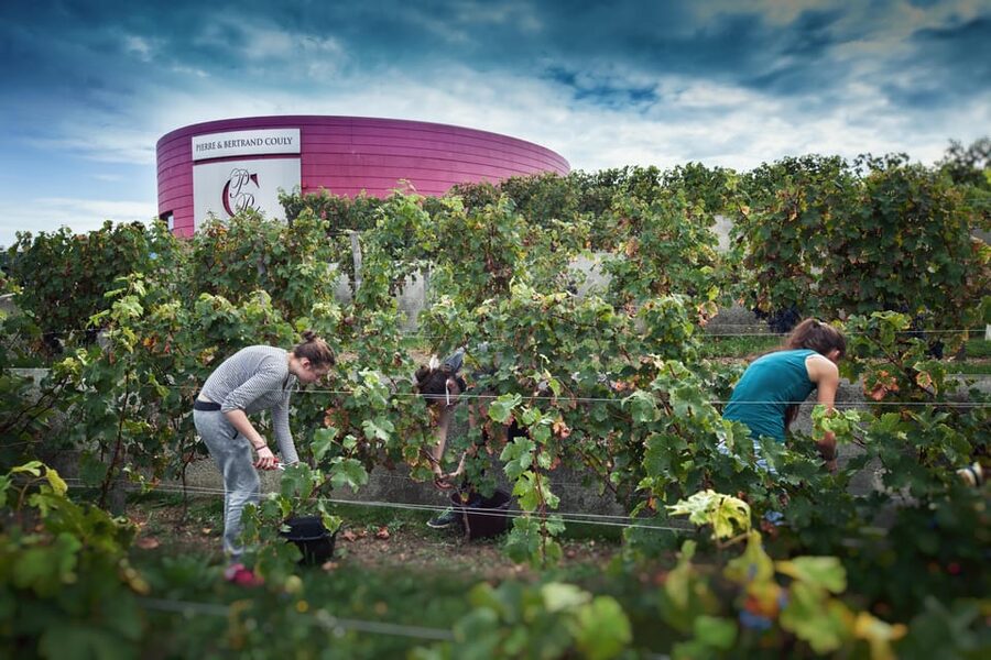 Wine and Chocolate experience - Price, timing, and who gets the best value
