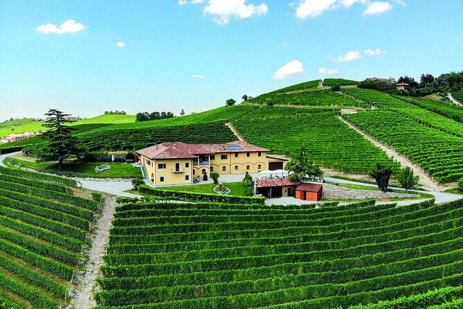 Wine & Chocolate Tour and Tasting in Alba area - Booking, cancellation, and group details