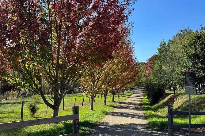 Yarra Valley Foodie Tour, Devonshire Tea, Cheese and Chocolate - Start at Lilydale and finish at Mooroolbark