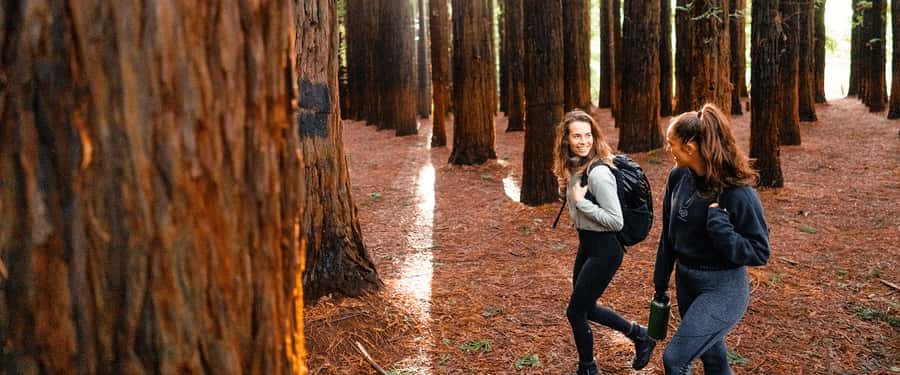 Yarra Valley | Redwoods, Wildlife, Wine, Chocolate - Wine at historic Yering Station