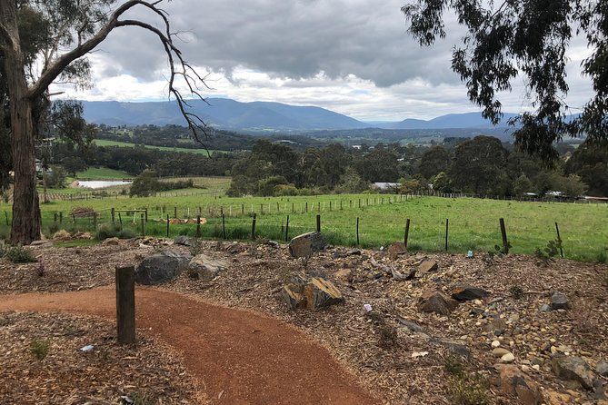 Yarra Valley Wine Tour inc lunch with a glass of wine, tastings and chocolate - Coombe Yarra Valley adds history to the glass