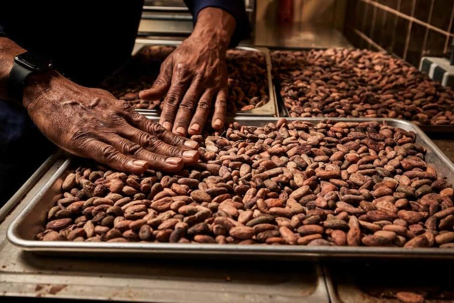 Zaandijk-Near Zaanse Schans Chocolate making demo & tasting - The Zaan region’s cacao connection
