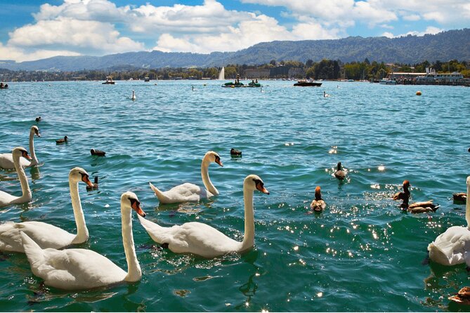 Zurich with Cruise and Lindt Home of Chocolate Private tour - Should You Book Zurich with Cruise and Lindt Home of Chocolate?